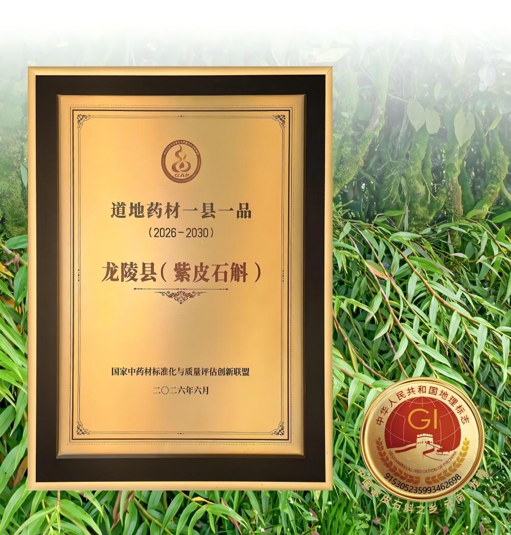 龙陵紫皮石斛入选2026年“道地药材一县一品”，张伯礼院士亲授牌并点赞