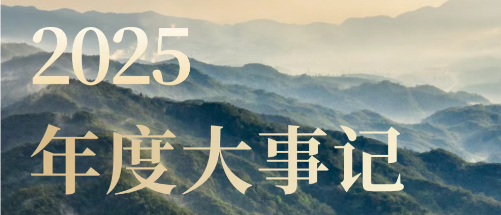 商业向善，向光而行